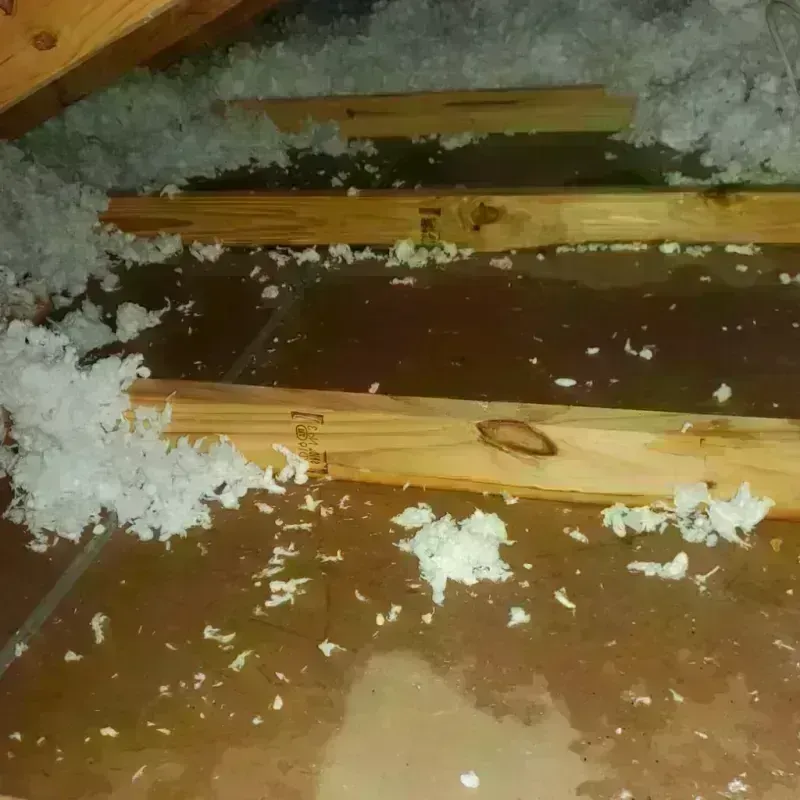 Attic Water Damage in Overland, MO