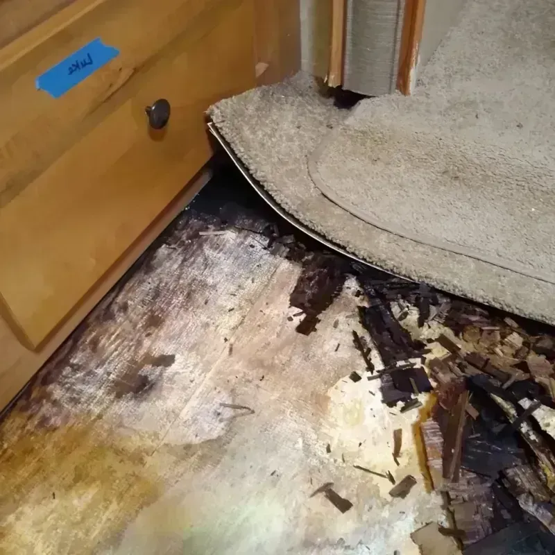 Best Wood Floor Water Damage Service in Overland, MO